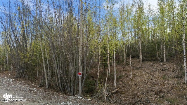 638 S Harlindon Dale Cir, Wasilla, AK 99654