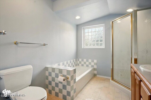 12100 Woodway Cir, Anchorage, AK 99516 - full bathroom featuring lofted ceiling, toilet, vanity, a shower stall, and a bath