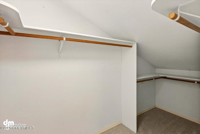12100 Woodway Cir, Anchorage, AK 99516 - walk in closet featuring lofted ceiling and carpet floors