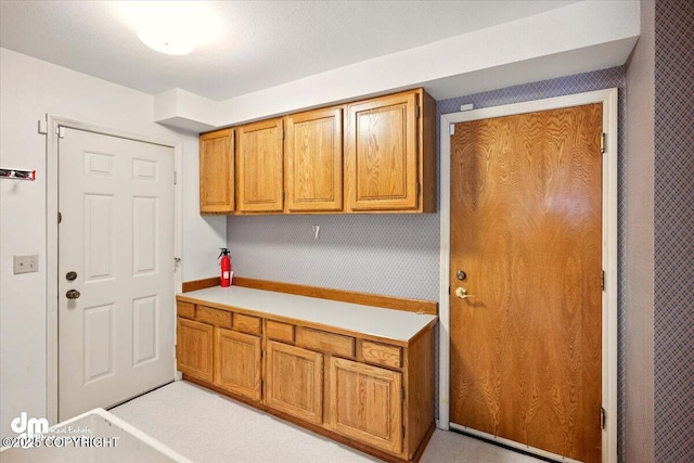 12100 Woodway Cir, Anchorage, AK 99516 - view of clothes washing area