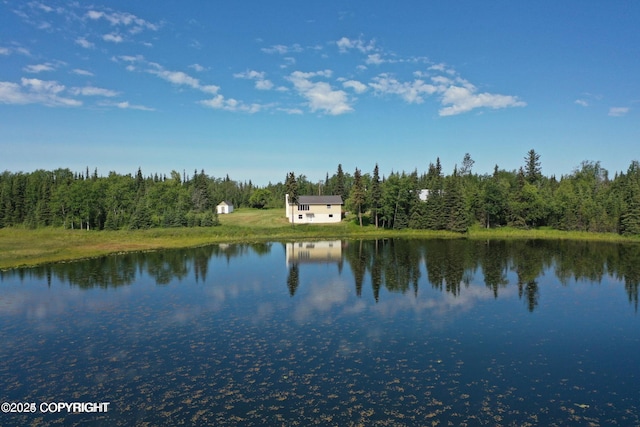 water view with a view of trees