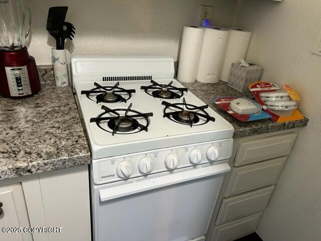 detailed view of white gas range