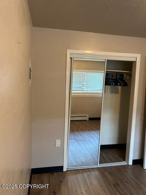 closet with baseboard heating