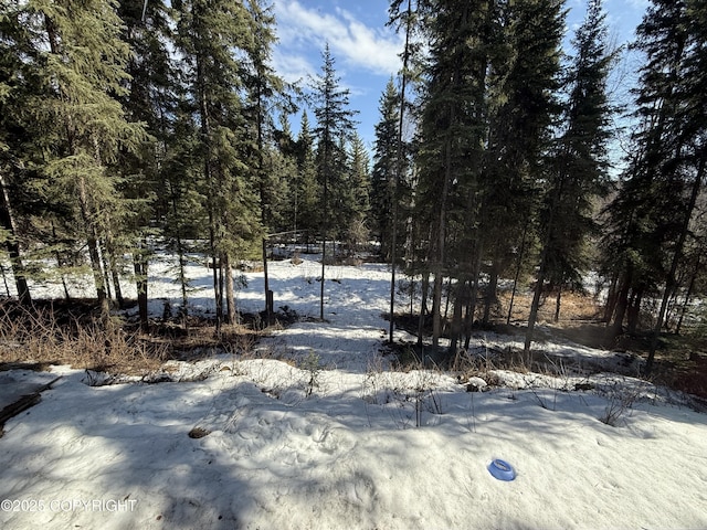 view of yard layered in snow