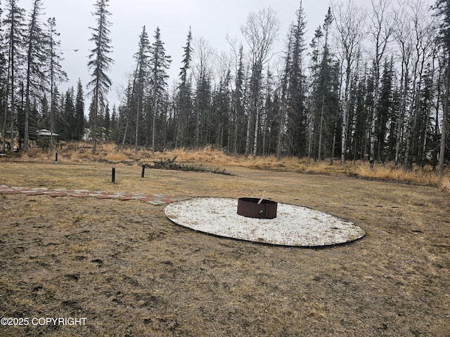 49045 Gemini Ct, Soldotna, AK 99669 - view of yard