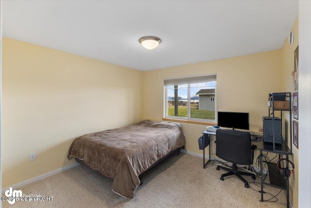 bedroom featuring baseboards and carpet flooring