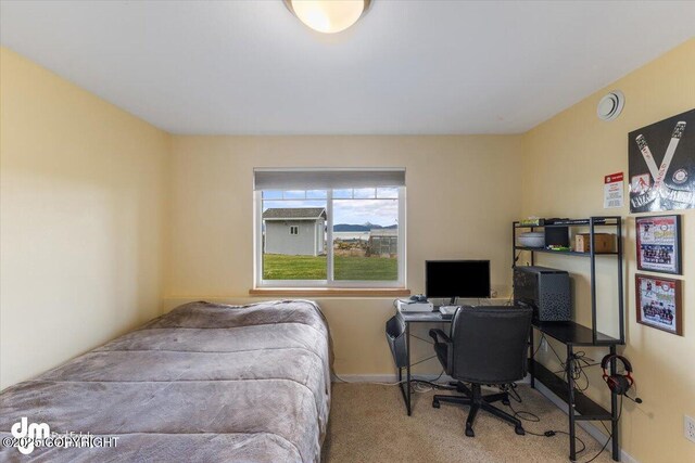 bedroom featuring carpet floors and baseboards