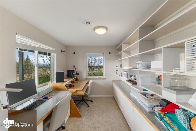 office area with light colored carpet and baseboards