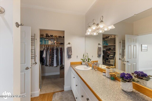 full bathroom featuring vanity, baseboards, wood finished floors, and a spacious closet