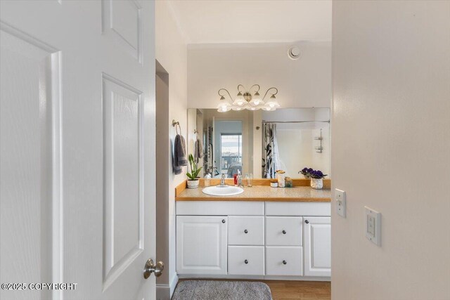 bathroom with vanity, curtained shower, and wood finished floors