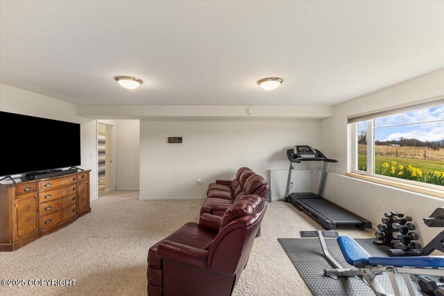 exercise room with light carpet