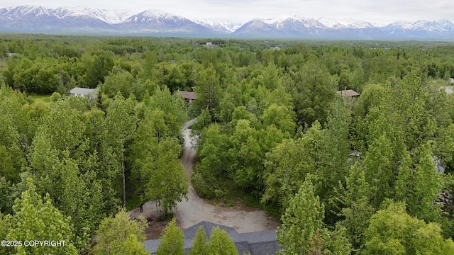 5900 E Liberty Ct, Wasilla, AK 99654 - bird's eye view of a forest and mountains