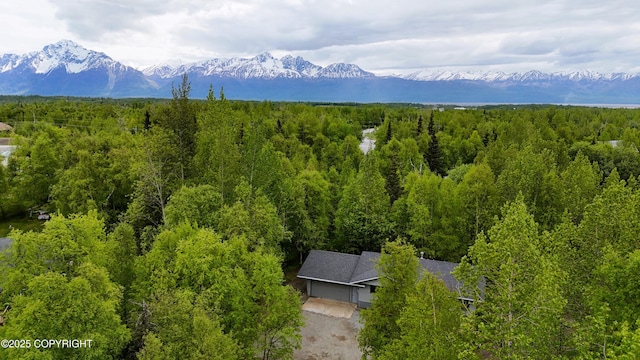 5900 E Liberty Ct, Wasilla, AK 99654 - aerial view of a forest and a mountain backdrop