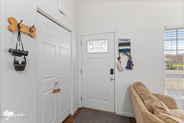 foyer with baseboards, a healthy amount of sunlight, and dark wood-type flooring