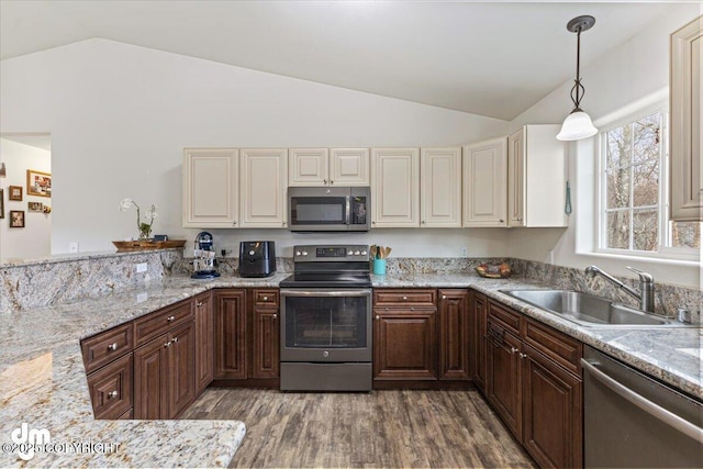 kitchen with appliances with stainless steel finishes, a sink, wood finished floors, lofted ceiling, and pendant lighting