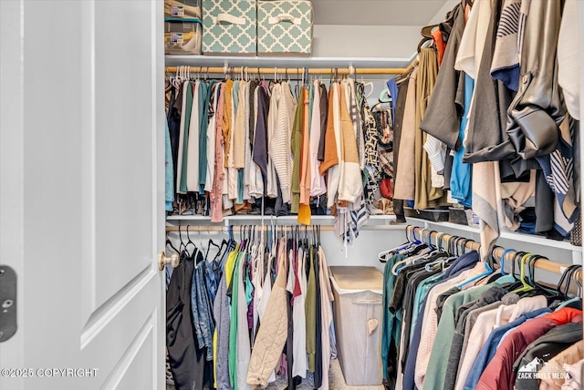 13050 Curry Ridge Cir, Eagle River, AK 99577 - view of spacious closet