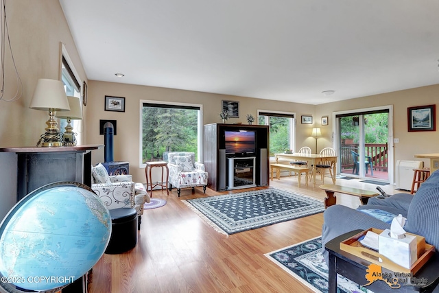 living room with plenty of natural light, a wood stove, and wood finished floors