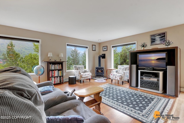 living room with baseboard heating, wood finished floors, and a wood stove