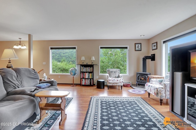 living room featuring wood finished floors and a wood stove