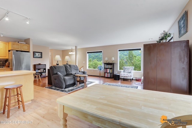 living area with rail lighting and light wood-style flooring