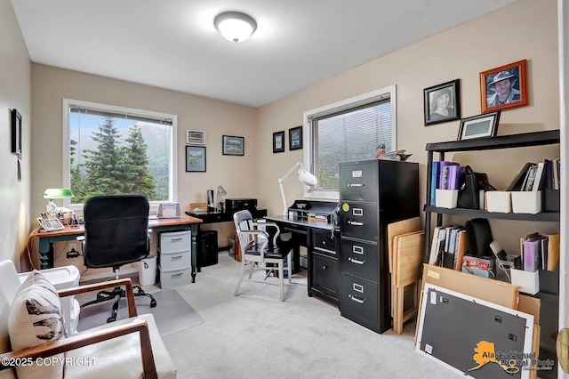 office area featuring light colored carpet