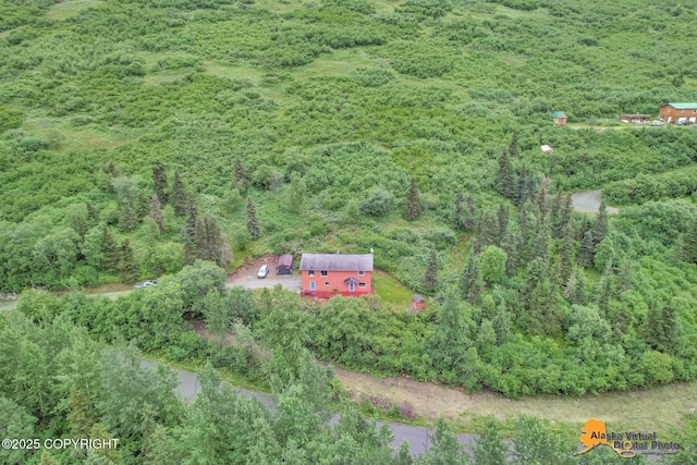 birds eye view of property featuring a forest view