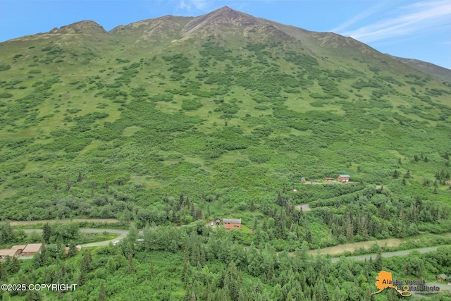 mountain view with a forest view