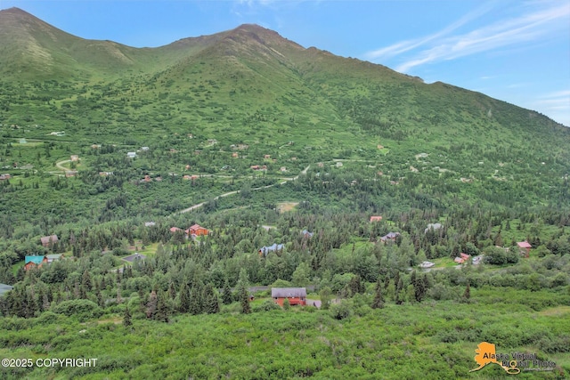 property view of mountains with a wooded view
