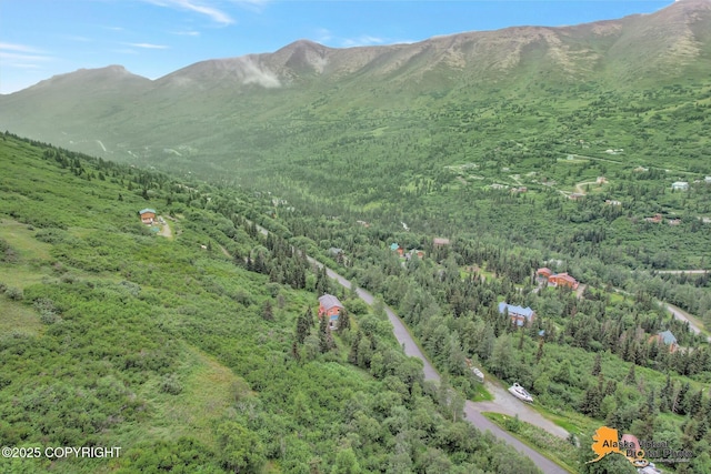 bird's eye view with a mountain view and a forest view
