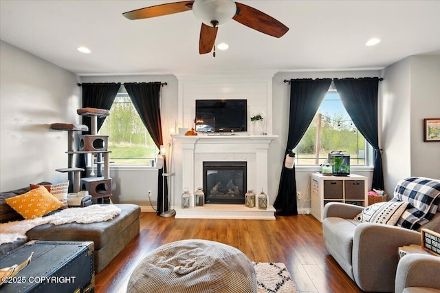 2153 S Withers Rd, Wasilla, AK 99654 - living room featuring plenty of natural light, ceiling fan, wood finished floors, a glass covered fireplace, and recessed lighting