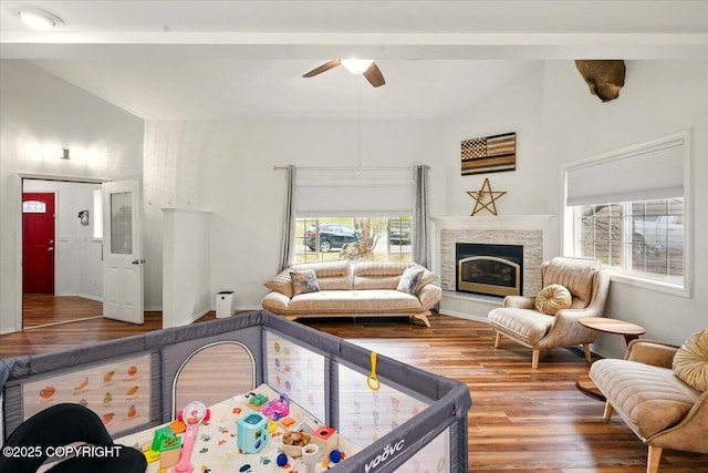 living room featuring wood finished floors, plenty of natural light, lofted ceiling, ceiling fan, and a glass covered fireplace