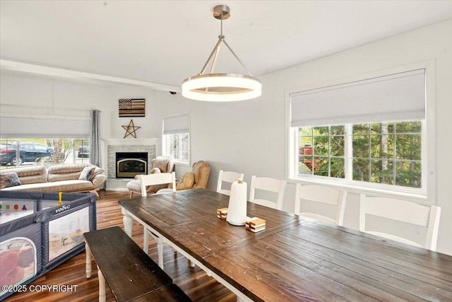 dining area featuring healthy amount of natural light, a glass covered fireplace, and dark wood-type flooring