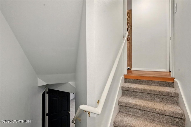 staircase featuring carpet