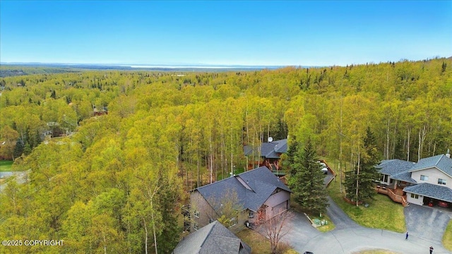 drone / aerial view of a forest