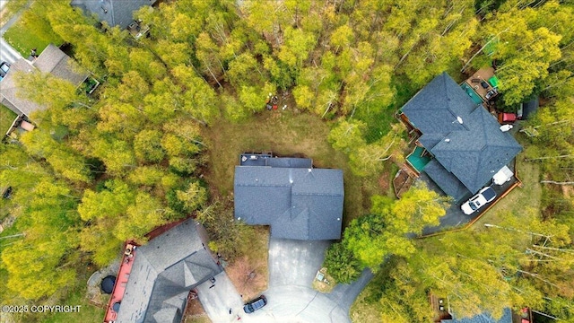 drone / aerial view