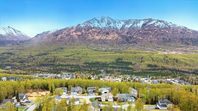 view of mountain background with a heavily wooded area and nearby suburban area