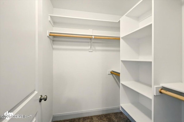 view of walk in closet