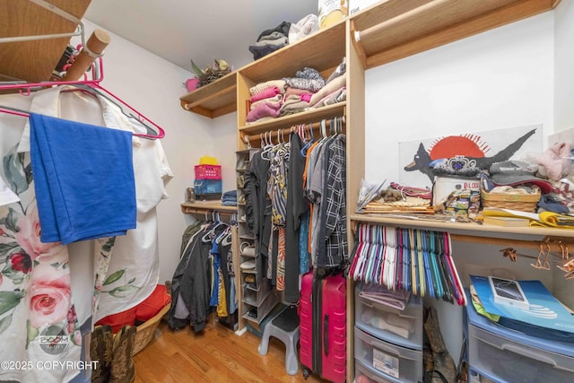 walk in closet featuring wood finished floors