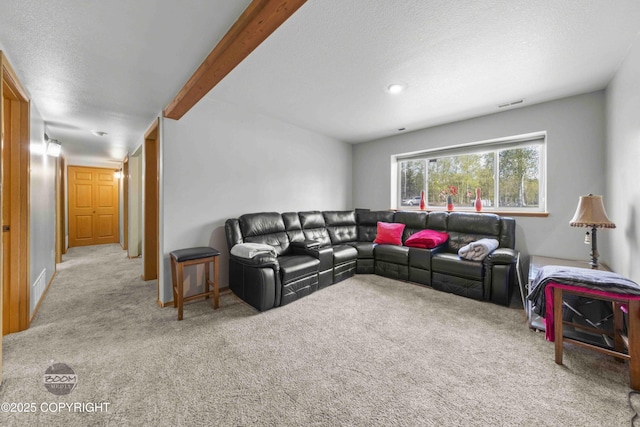 carpeted living area featuring a textured ceiling