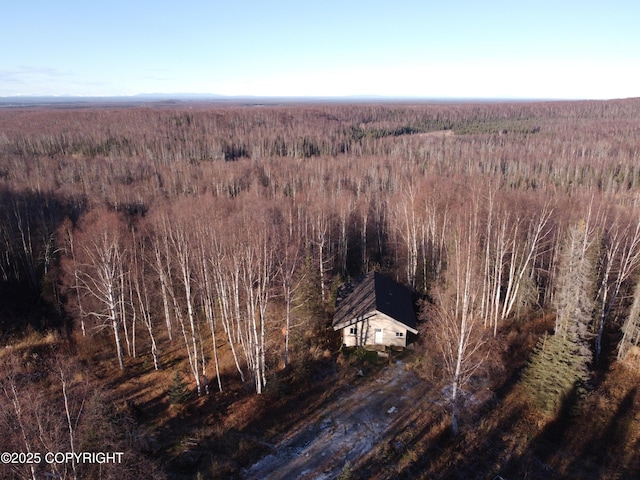 17709 Willow Fishhook Rd, Willow, AK 99688 - photo 63