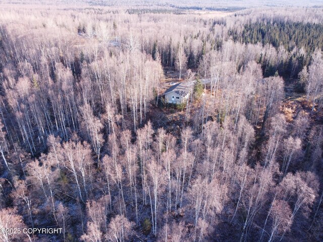 17709 Willow Fishhook Rd, Willow, AK 99688 - photo 64