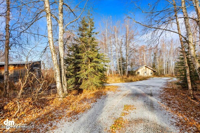 17709 Willow Fishhook Rd, Willow, AK 99688 - photo 34