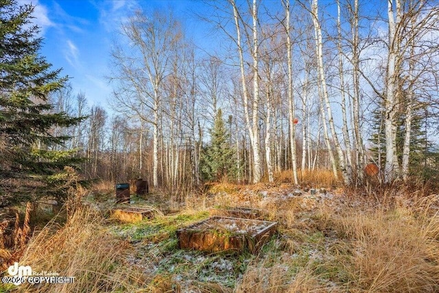 17709 Willow Fishhook Rd, Willow, AK 99688 - photo 58