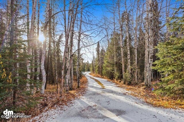 17709 Willow Fishhook Rd, Willow, AK 99688 - photo 60