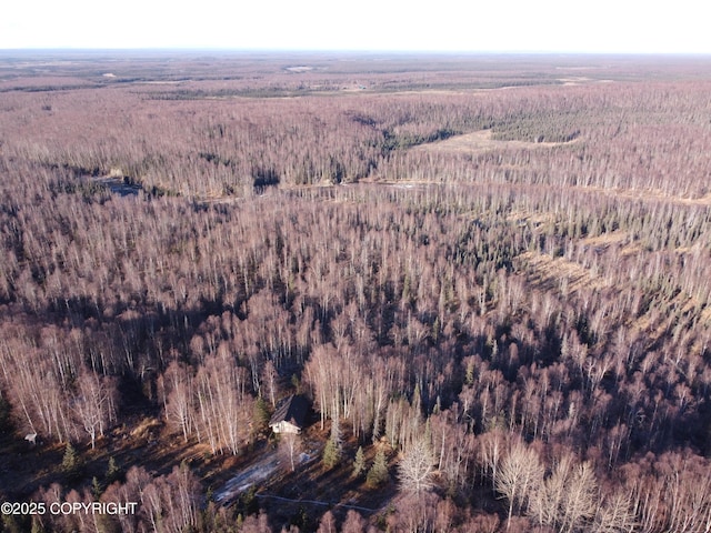 17709 Willow Fishhook Rd, Willow, AK 99688 - photo 62