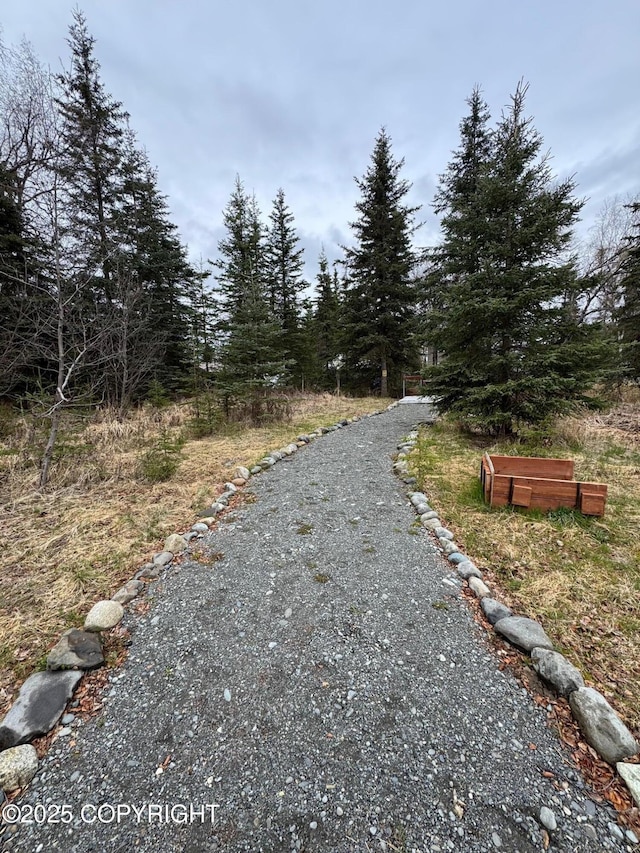 46050 Lax Cir, Soldotna, AK 99669 - view of road