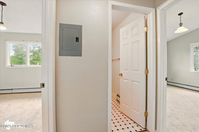 2631 Palmer Ct # C6, Anchorage, AK 99508 - corridor featuring electric panel, plenty of natural light, light carpet, a textured wall, and a baseboard radiator
