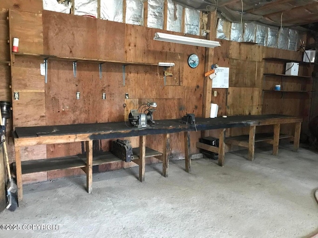 below grade area featuring a workshop area and wood walls