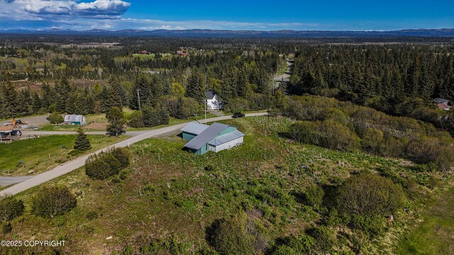 71265 Kallman Dr, Anchor Point, AK 99556 - aerial overview of property's location with a forest