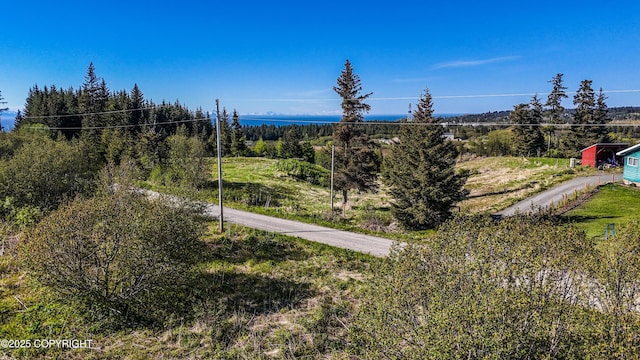 71265 Kallman Dr, Anchor Point, AK 99556 - mountain view